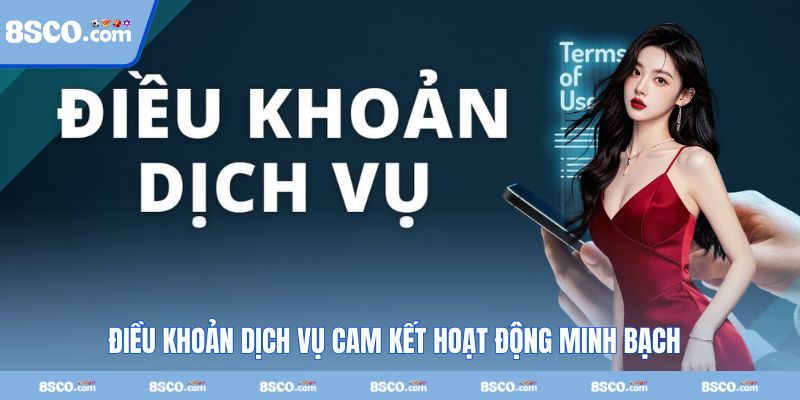 Điều khoản dịch vụ cam kết mọi hoạt động minh bạch