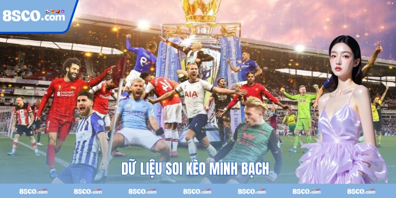 Thông tin soi kèo uy tín và minh bạch 