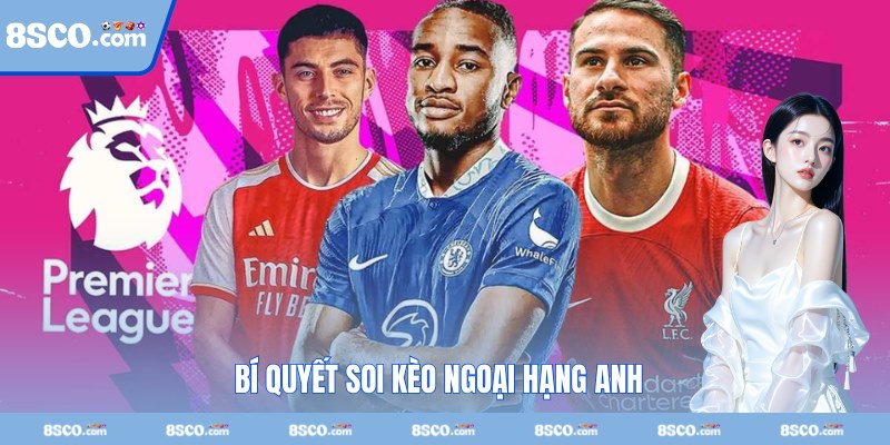 Tìm hiểu thông tin mùa giải kỹ lưỡng, cẩn thận