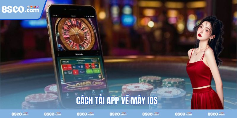 Quy trình download app cá cược về máy iPhone